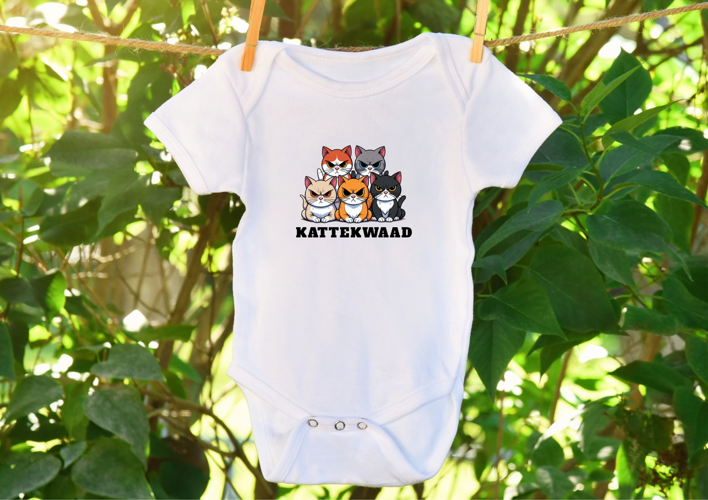Kattekwaad